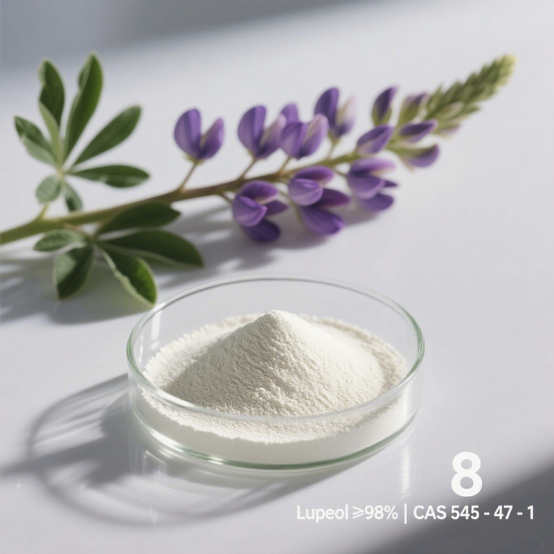 Bulk Lupeol Supplier